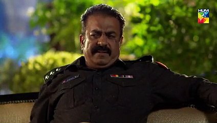 Bisaat e Dil Epi 20 HUM TV Drama 1 January 2019