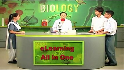 Experiment: 4.6 Collecting the Data of the Number of Stomata Per Unit Area on Plant Leaves