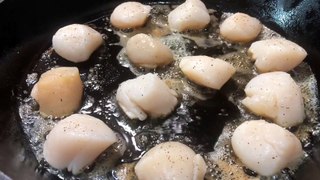 Sound of Flavor - Pan Seared Scallops