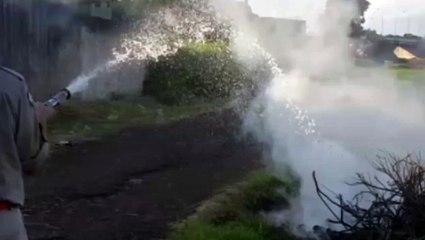 Incêndio em vegetação é controlado pelos bombeiros