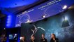 Nasa : mission réussie pour la sonde New Horizons