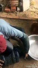 How many perch perch do these people?