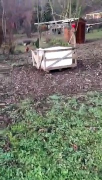 Rabye Bouden 2018 BACS A FLEURS TERMINES