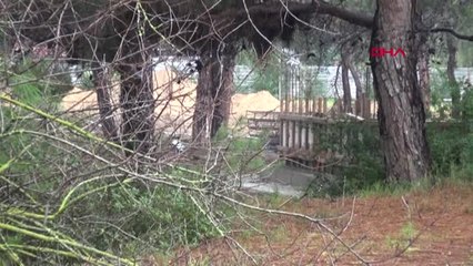 Antalya Manavgat'ta Ağaç Kesme Protestosu