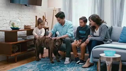 Wynd Halo + Home Purifier The Smartest Air Quality Platform For A Healthy, Comfortable Home