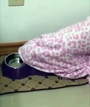 Утро после новогоднего застолья