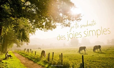 carte de voeux animée