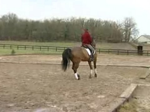 PLR - Patrick LE ROLLAND - Leçon Dressage Cheval 4/6