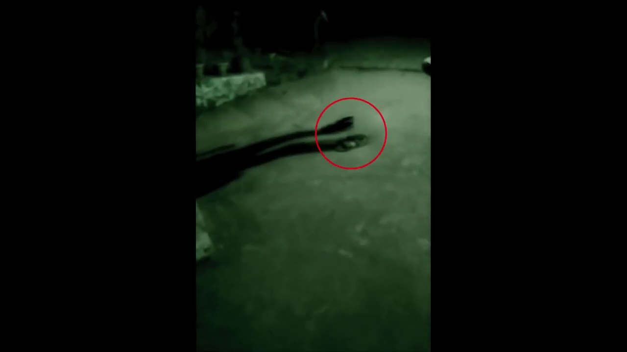 its Really Scary, Invisible Man, Only Shadow Caught On Camera