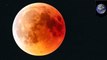 Gerhana Bulan Darah Serigala muncul pada 20-21 Januari - TomoNews