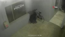 Acemi Hırsız Polis Karakolu Önündeki Bisikleti Çalmaya Çalıştı