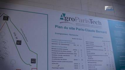 Visite sur les toits de l'Agroparitech - l'agriculture urbaine - cese