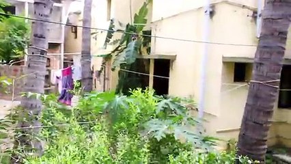 கிணற்றில் ஒளிந்த திருடன்! 30 மணி நேரத்துக்கு பிறகு மீட்பு-வீடியோ