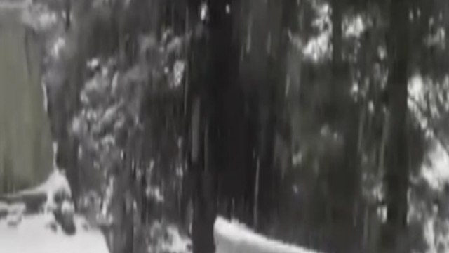 Jammu and Kashmir: Rajouri turns pristine white after fresh snowfall