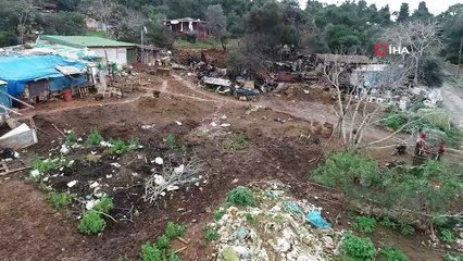 Büyükada yangınında atların telef olduğu ahırlar havadan görüntülendi