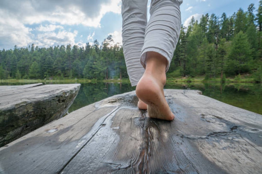 What is Forest Bathing