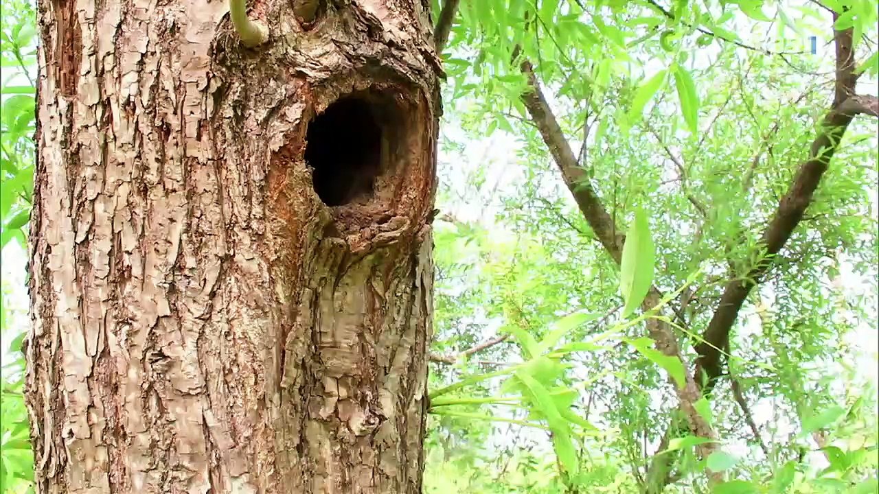 EBS 다큐프라임 - Docuprime_[모멘트- 지나간 것과 올 것의 사이]_#001