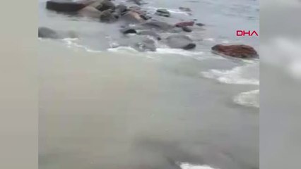 Şanlıurfa Hamile Kadın Traktörle Dereden Geçirilip, Hastaneye Ulaştırıldı