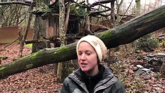 Dans les coulisses du parc animalier de Sainte-Croix l’hiver