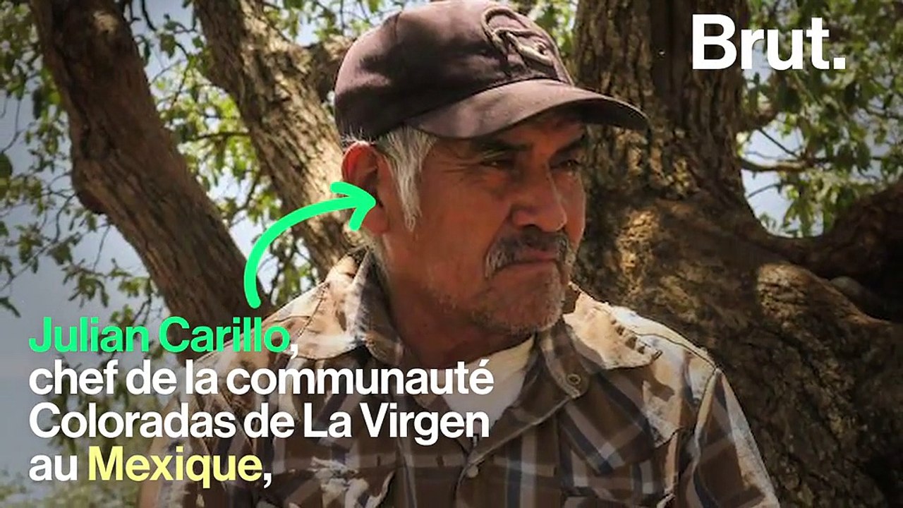 Protéger notre planète peut tuer et 2018 l’a encore prouvé