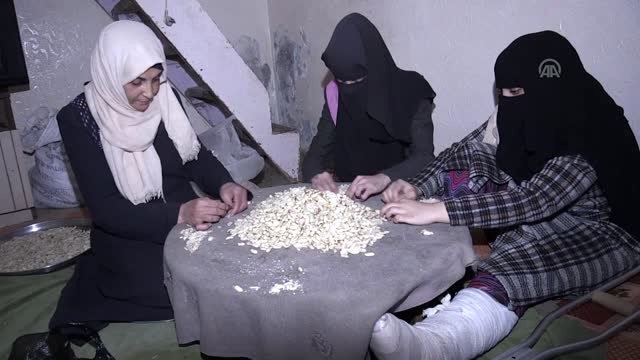 Gazzeli Ailenin Geçim Kaynağı Fıstık Ayıklamak (2)