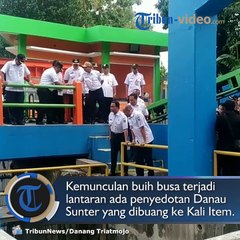 Anies Baswedan Tinjau Kali Item yang Dipenuhi Buih: Limbah Detergen dari Berbagai Sumber