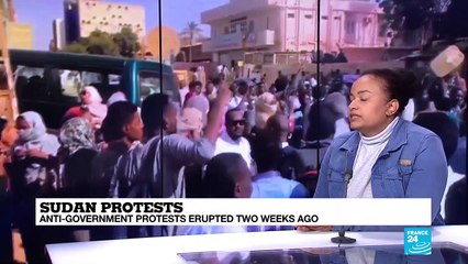 Sudan protests: What are the opposition's main grievances?