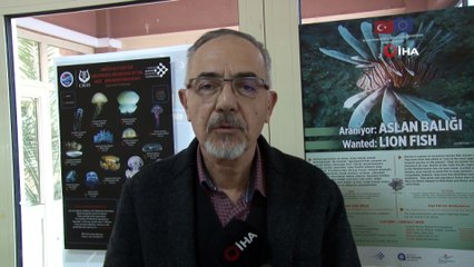 “Aslan balığı zehirlidir, insanı felç edebilir'