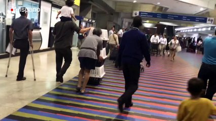 En Venezuela, hasta las mascotas emigran