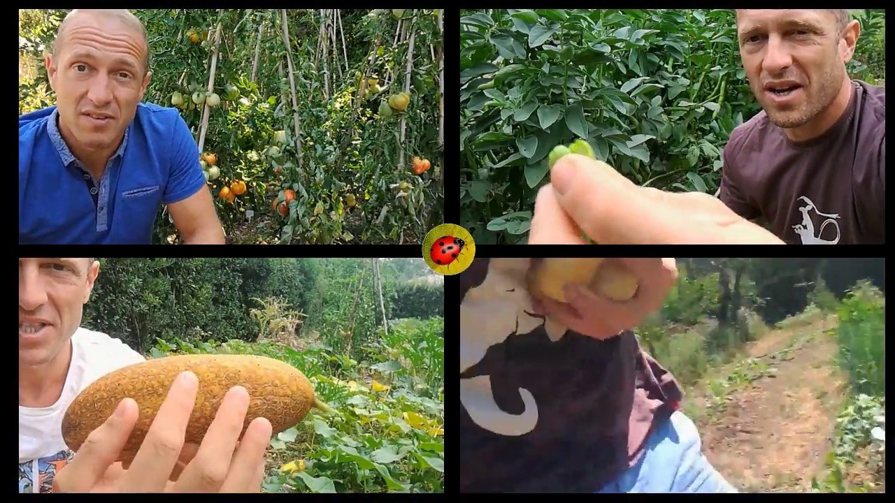 Une nouvelle année au potager