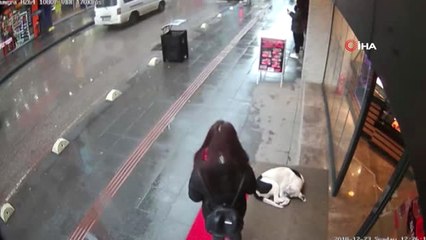 Soğukta Titreyen Köpeğe Şalını Örterek Yürekleri Isıttı