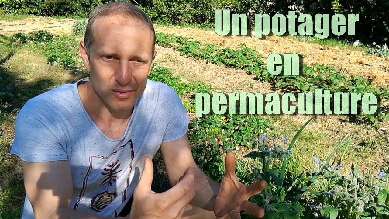 Un potager qui se prépare pour la grande saison