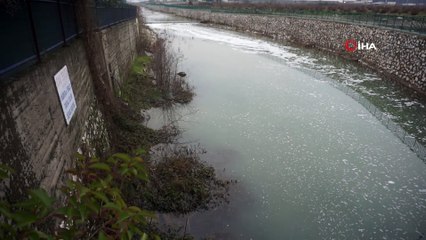 Rengi beyaza dönen dereden numune alındı