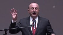 Çavuşoğlu : 