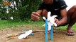 Easy snake Trap - Simple DIY Creative snake Trap make from 2 Fan Blades That Work 100% By Brave Boys