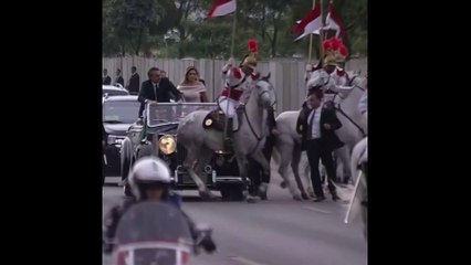 Un cheval perturbe le défilé de Jair Bolsonaro