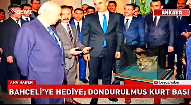 Bahçeli'ye doğum gününde kurt kafası hediyesi
