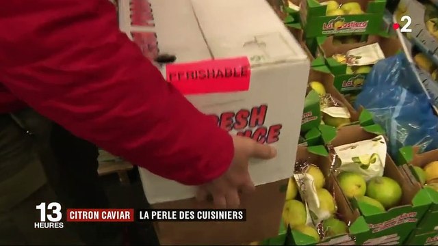 Gastronomie : le citron caviar, la perle des cuisiniers