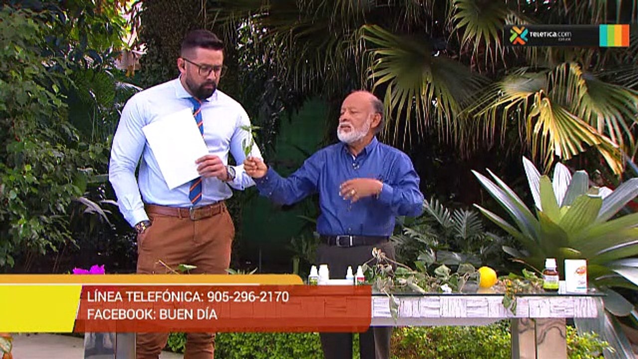 bd-beneficios-plantas-medicinales-020119