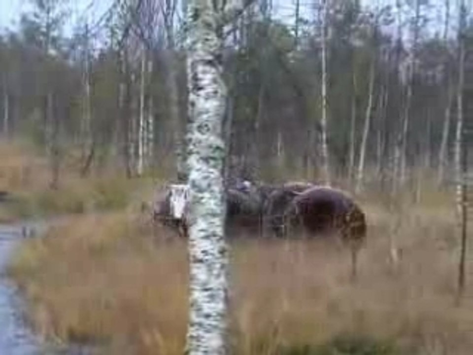 4x4 Cheburator
