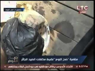 فيديو حصري- كاميرا صح النوم تخترق اوكار الصيد الغير مشروع وتكشف استخدامهم لمواد محرمه دوليا