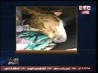 بالصور | ضبط خيول مذبوحه بمحلات الجزاره قبل بيعها للمستهلكين