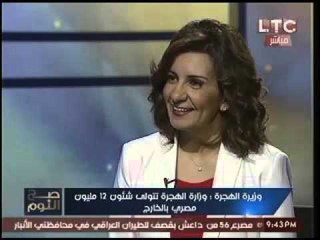 وزيرة الهجره لـ الاعلام عن تسلطهم تصريح "زواج الفرصه بالمستثمر":"خفوا شويه"