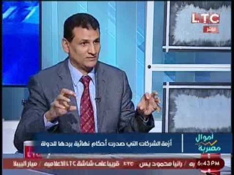 خبير اقتصادى يوضح حل أزمة شركة حليج الاقطان و احد المسئولين الحل مرفوض