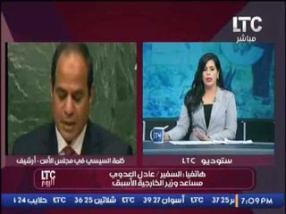 مساعد وزير الخارجية الاسبق يكشف عن مباحثات السيسى فى ازمات العالم بنيويورك