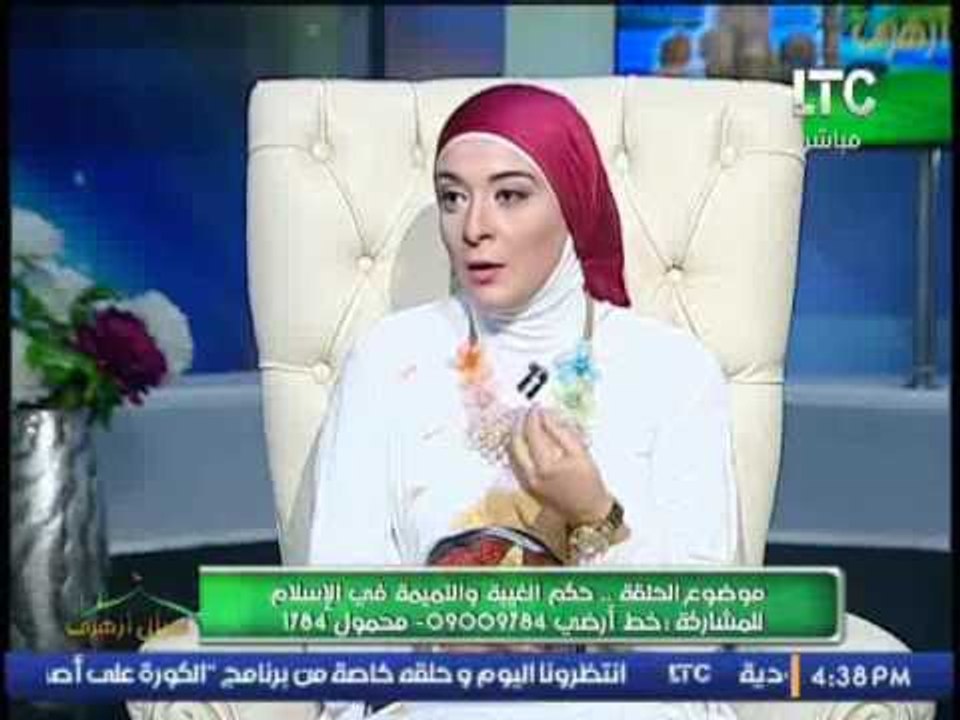 الشيخ / احمد كريمه : التنظيم سياسى الذى يكره بلده خارج عن الدين