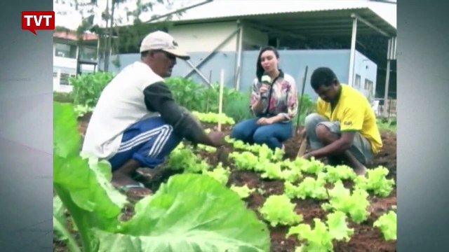 Horta comunitária ajuda moradores carentes de Mariana