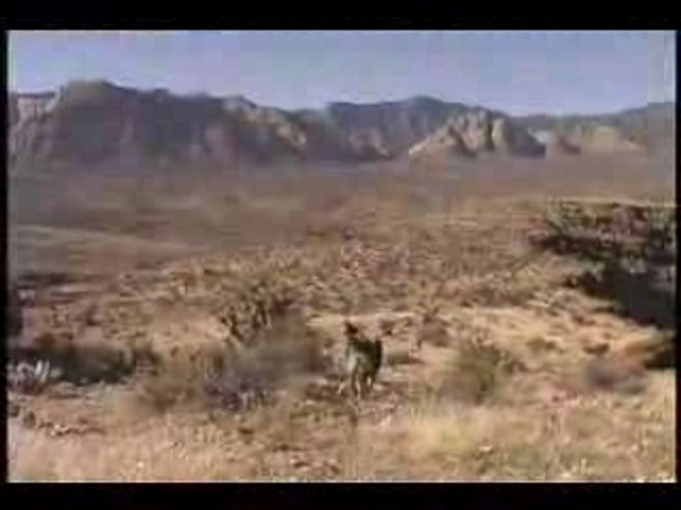 [MTB] Bone Crusher Trail Las Vegas Nevada [Goodspeed]