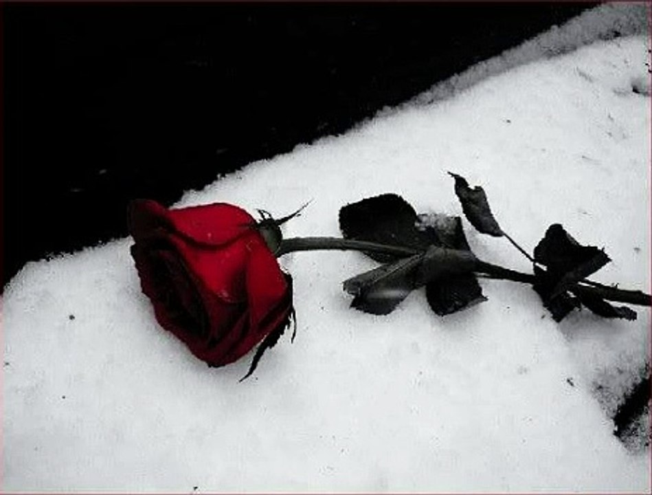 "ΓΙΑ ΣΕΝΑΝΕ ΑΓΑΠΗ ΜΟΥ" σύνθεση/μουσική:Βασίλης Πίττας