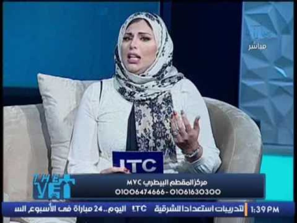 برنامج The Vet  | مركز المقطم البيطرى MVC " تدريب الكلاب" - 18-11-2016